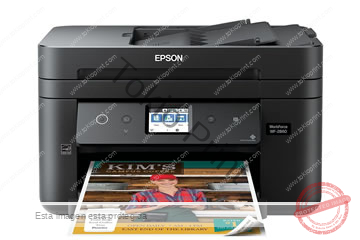 Reset de Almohadillas Epson